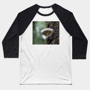 Painted Mushroom in a Misty Forest Baseball T-Shirt